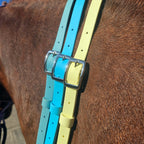 Ponies and Pups BioThane adjustable neck straps in seafoam, sky blue, and pale yellow with silver buckles on a horse.