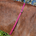 Ponies and Pups waterproof BioThane adjustable neck strap in magenta on a brown horse.