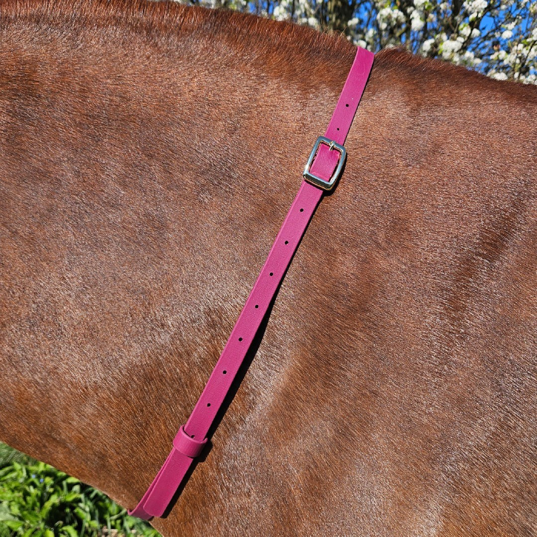 Ponies and Pups waterproof BioThane adjustable neck strap in magenta on a brown horse.