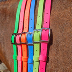 Ponies and Pups BioThane adjustable neck strap in neon green, pink, orange, blue, and lime green with silver buckles on a horse.