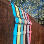 Handmade waterproof BioThane neck strap for horses, made to order in 21+ colours with hardware hand-matched to your shade (shown in pastel colours on a horse).