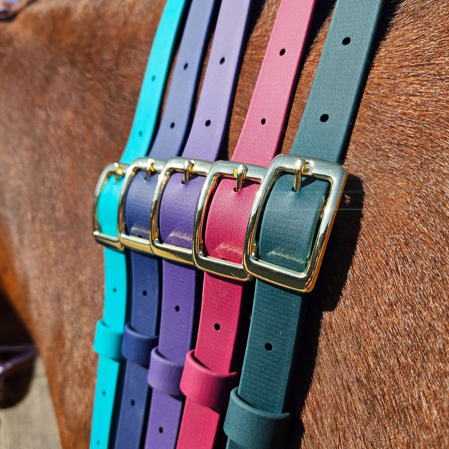 Ponies and Pups BioThane adjustable neck straps in teal, navy, purple, magenta, and dark green with gold buckles on a horse.