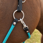 Ponies and Pups custom headcollar with teal PPM rope, black BioThane, and stainless steel hardware on a brown horse.