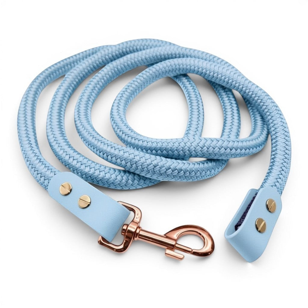 Ponies and Pups light blue double braided PPM lead rope with matching BioThane detailing and rose gold clip