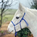 Ponies and Pups blue 6mm rope halter on a white horse, metal-free design for silent communication.