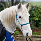 Ponies and Pups blue 6mm rope halter on a white horse wearing a blue blanket.