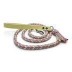 Ponies and Pups pastel braided dog lead with yellow BioThane handle and metal snap hook.