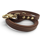 Ponies and Pups brown BioThane dog lead with gold hardware. Waterproof and stink-proof.