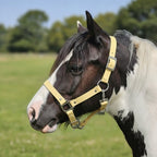 Ponies and Pups adjustable cream BioThane horse headcollar on a piebald pony in a field