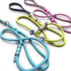 Ponies and Pups luxury custom slip leads in blue, lime green, and pink with BioThane handles and paracord detailing.