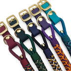 Ponies and Pups Firle dog collar with braided paracord and weatherproof BioThane strap in multiple colors.