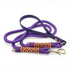 Ponies and Pups Firle dog lead in purple with braided orange and purple detail, BioThane handle and gold snap hook.