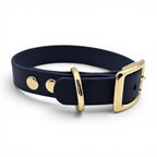 Ponies and Pups navy blue BioThane dog collar with gold hardware. Waterproof and adjustable.