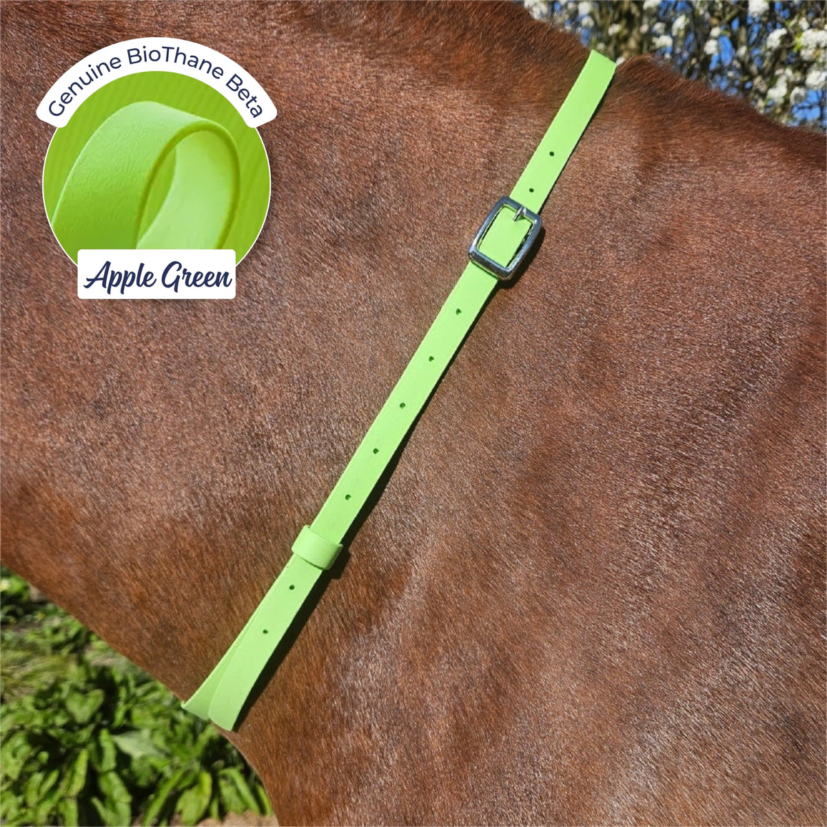 Adjustable BioThane Neck Strap in Apple Green on a chestnut horse
