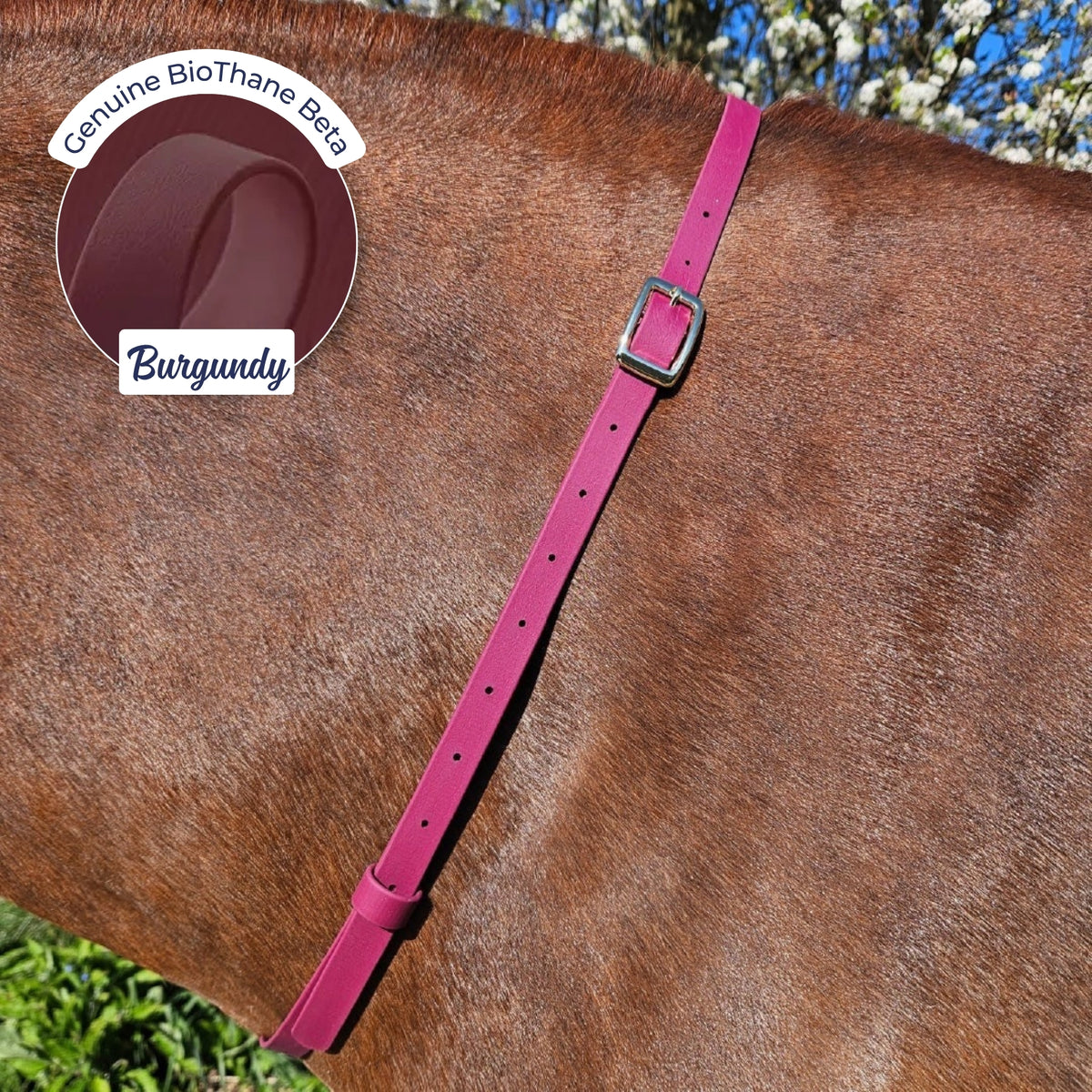 Adjustable BioThane Neck Strap in Burgundy on a chestnut horse