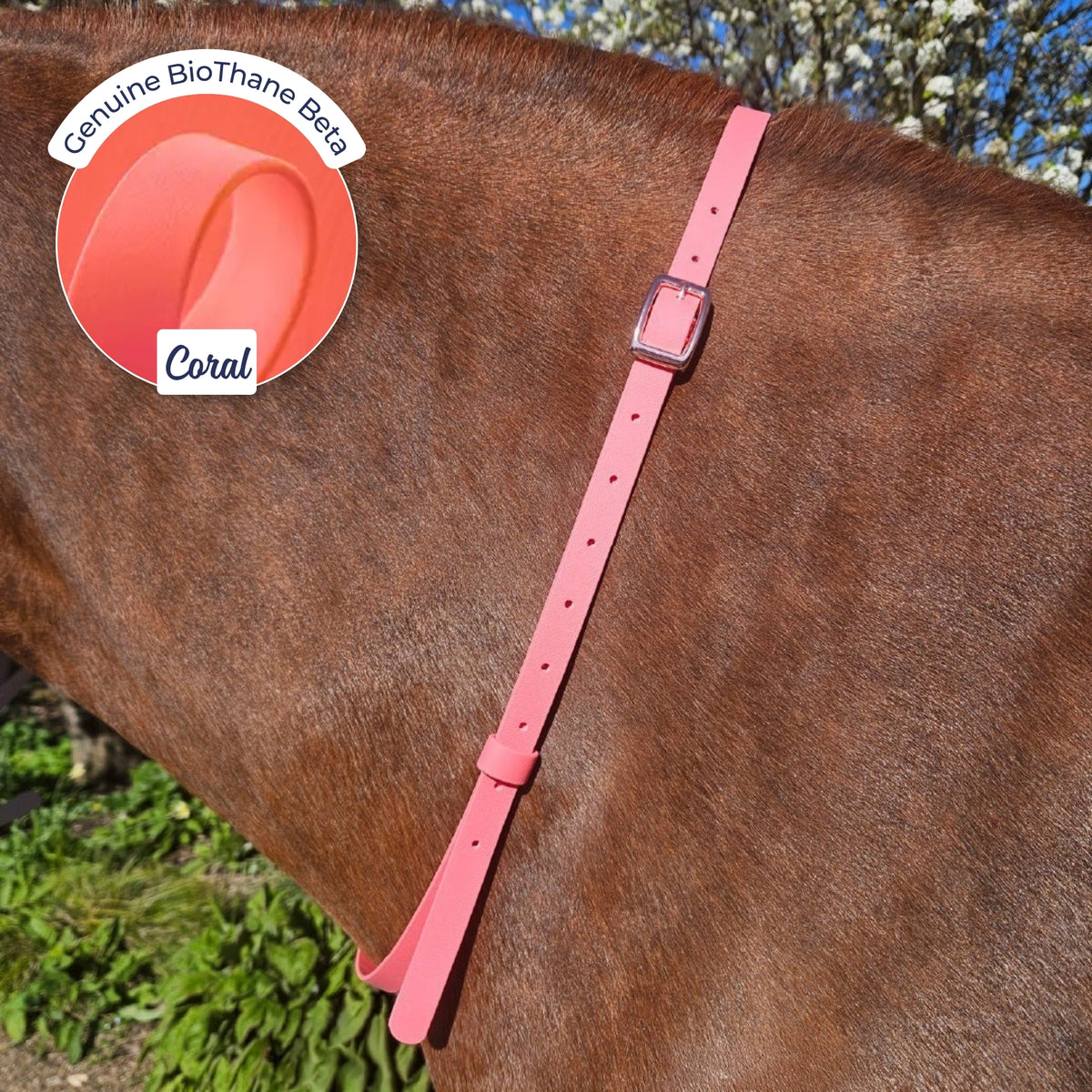 Adjustable BioThane Neck Strap in Coral on a chestnut horse