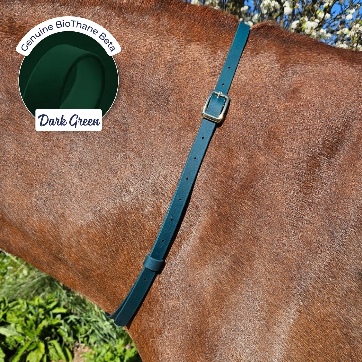 Adjustable BioThane Neck Strap in Dark Green on a chestnut horse