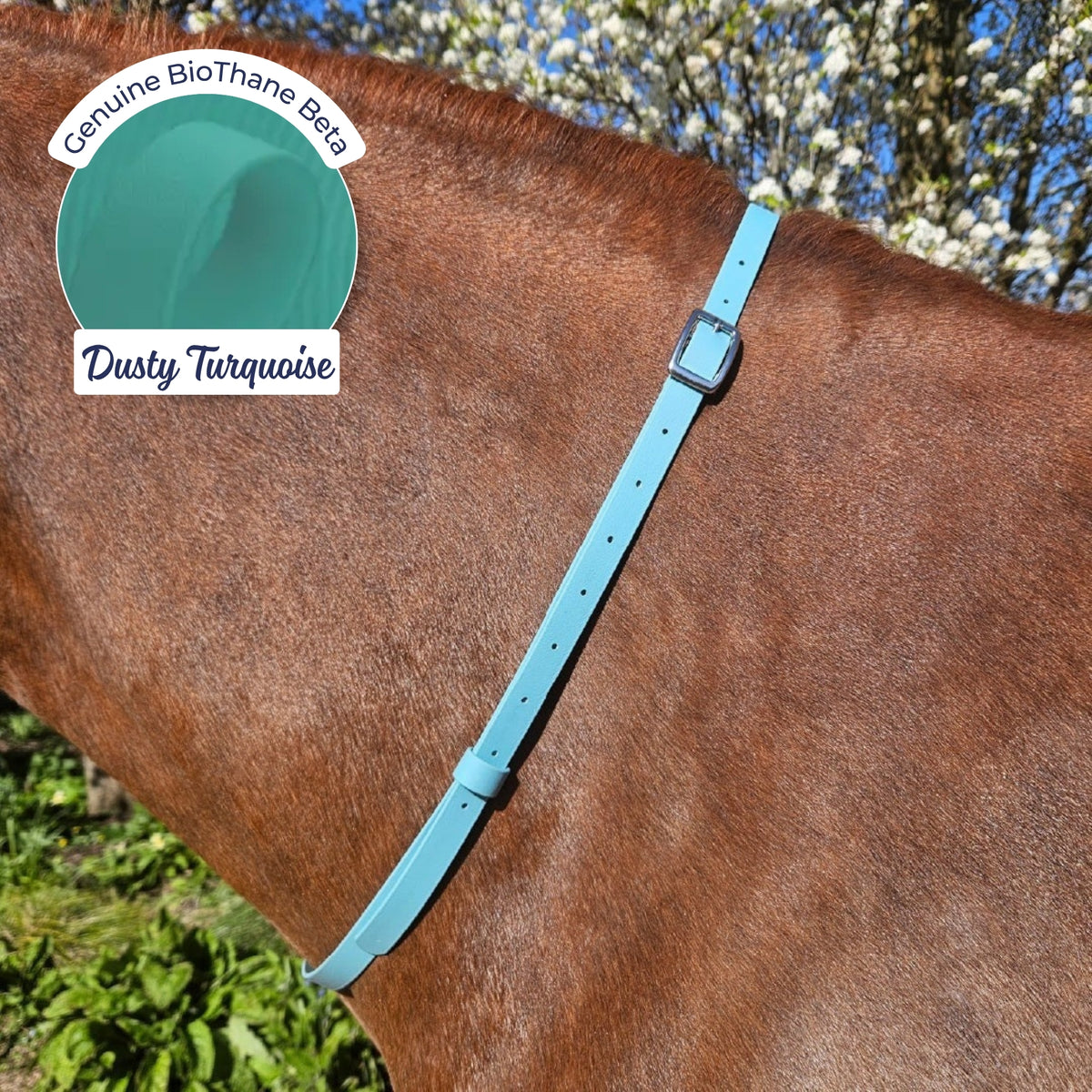Adjustable BioThane Neck Strap in Dusty Turquoise on a chestnut horse