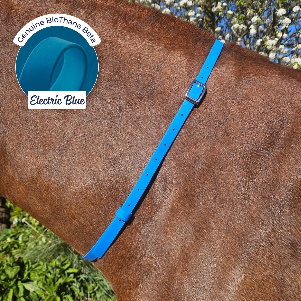 Adjustable BioThane Neck Strap in Electric Blue on a chestnut horse