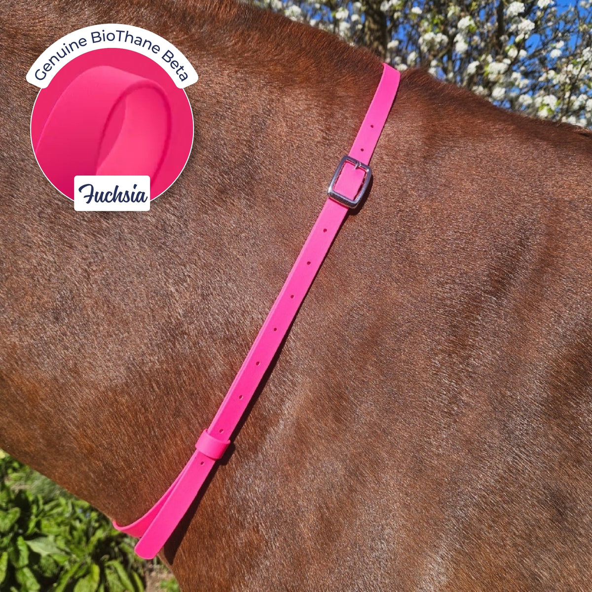Adjustable BioThane Neck Strap in Fuchsia on a chestnut horse