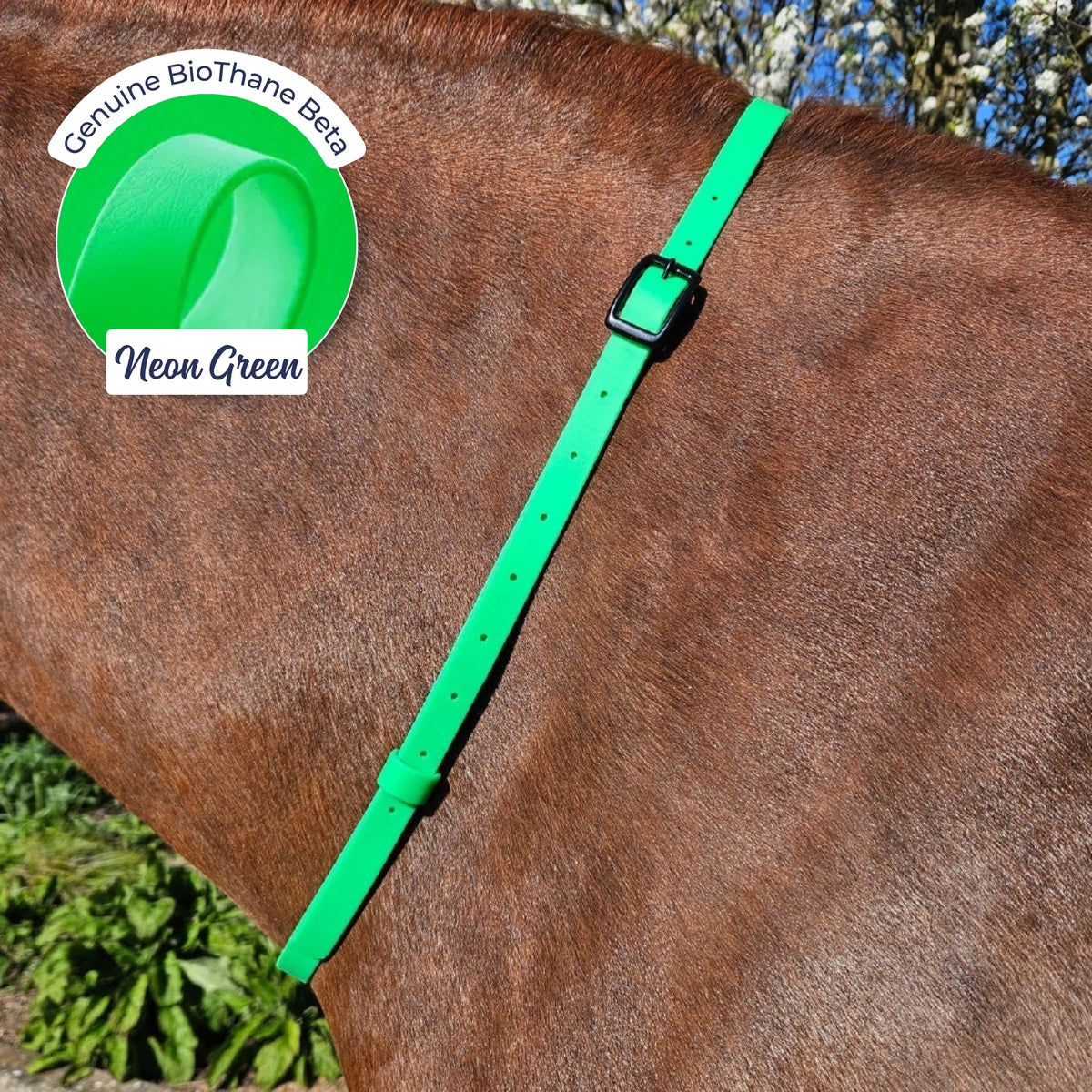 Adjustable BioThane Neck Strap in Neon Green on a chestnut horse