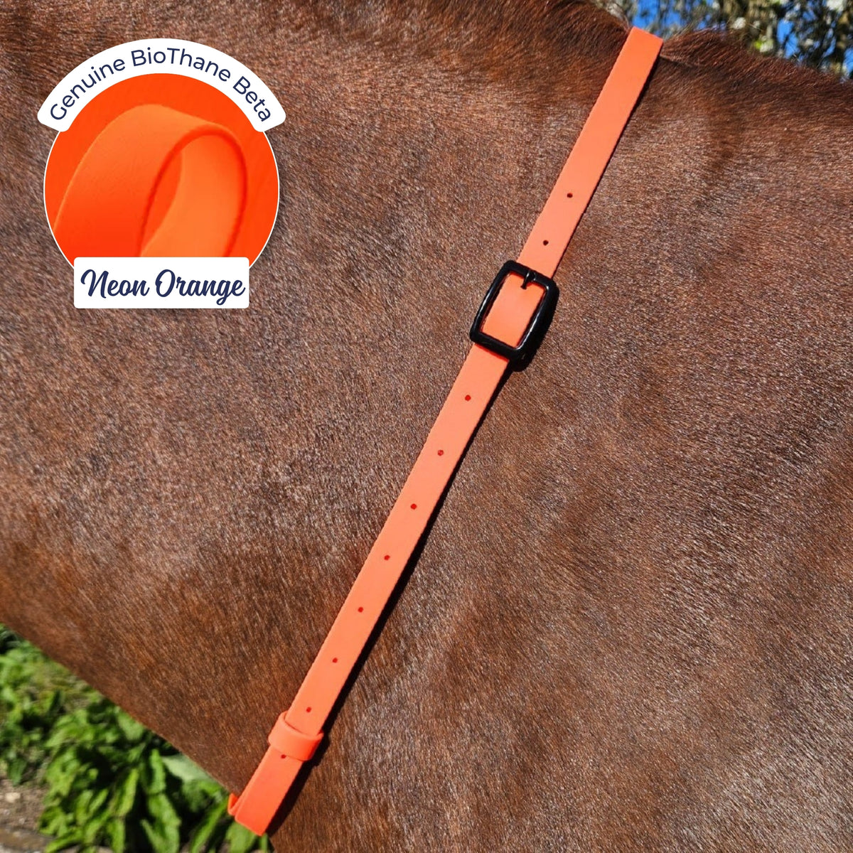 Adjustable BioThane Neck Strap in Neon Orange on a chestnut horse
