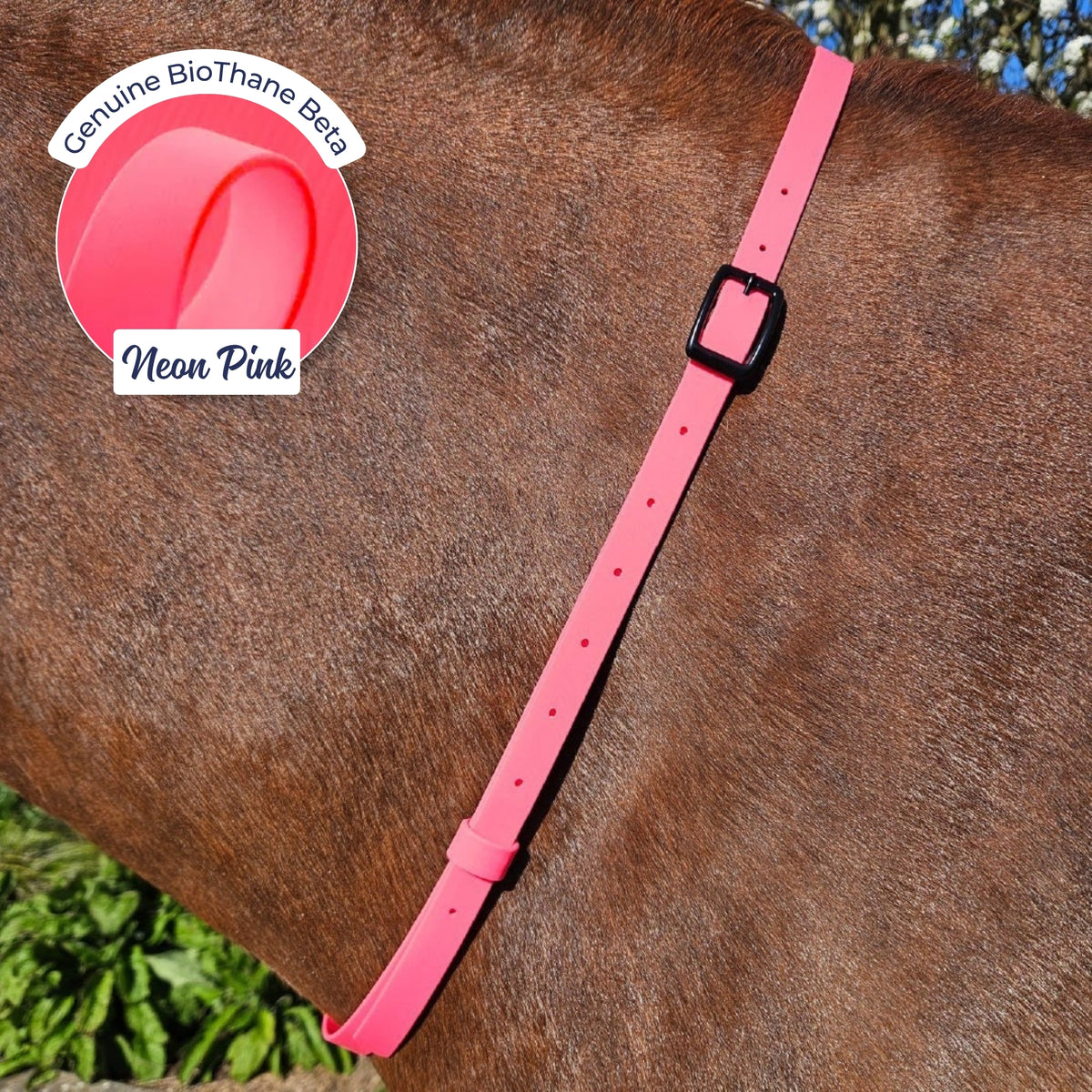 Adjustable BioThane Neck Strap in Neon Pink on a chestnut horse