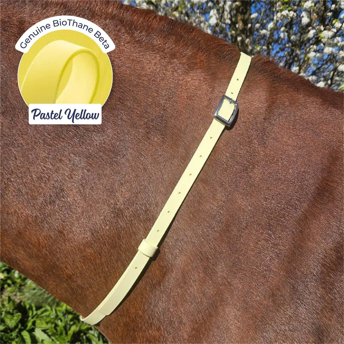 Adjustable BioThane Neck Strap in Pastel Yellow on a chestnut horse