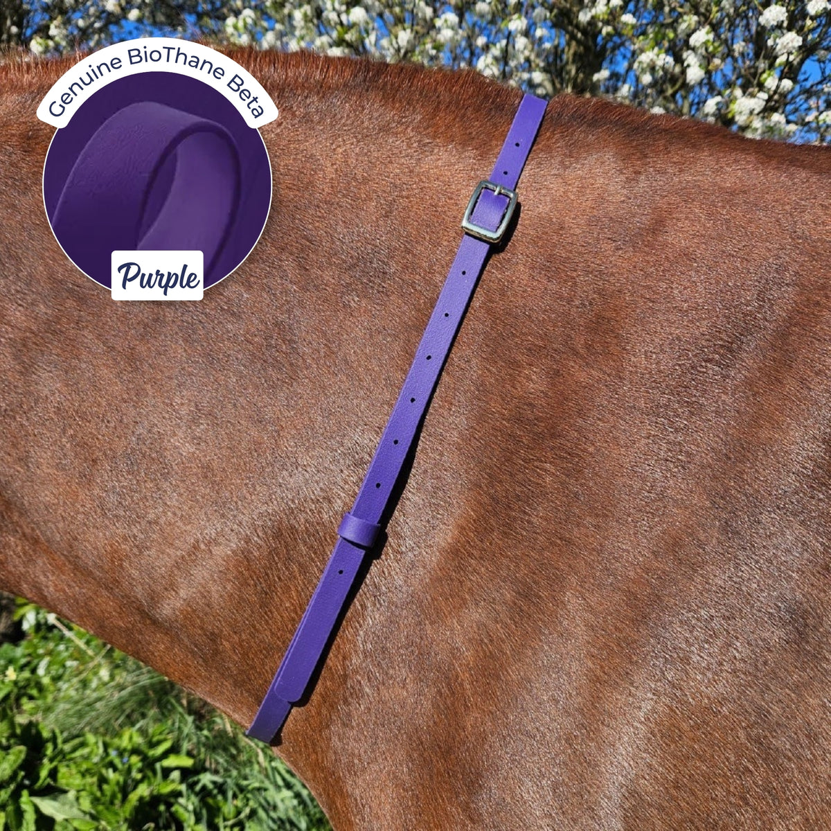 Adjustable BioThane Neck Strap in Purple on a chestnut horse