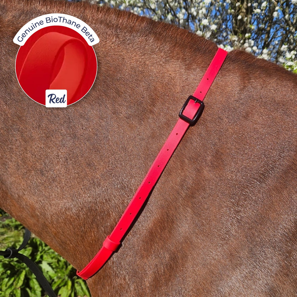 Adjustable BioThane Neck Strap in Red on a chestnut horse