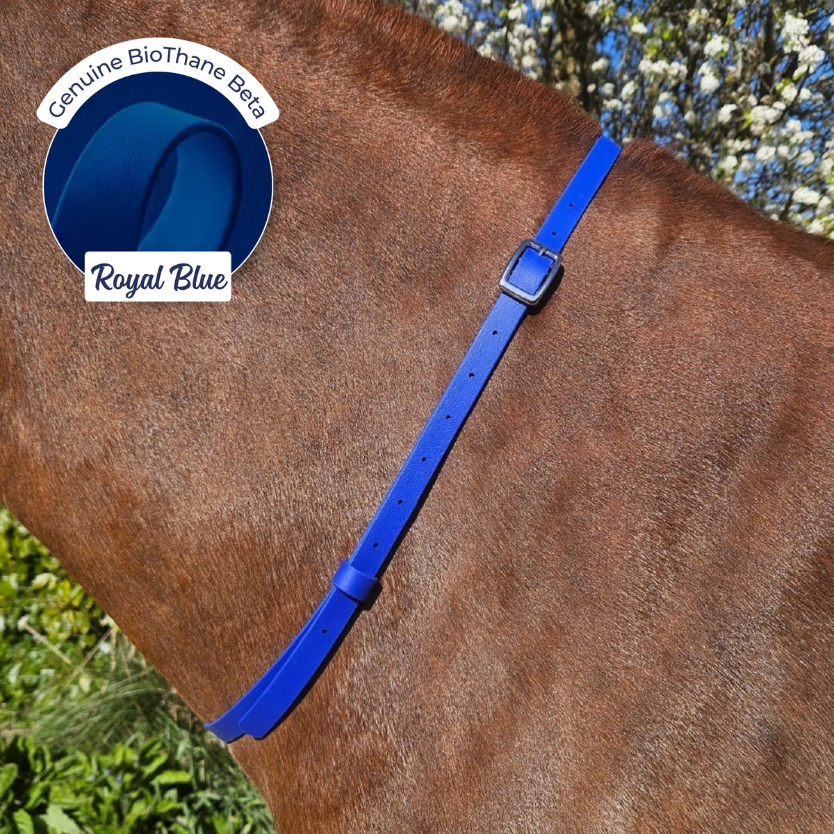 Adjustable BioThane Neck Strap in Royal Blue on a chestnut horse