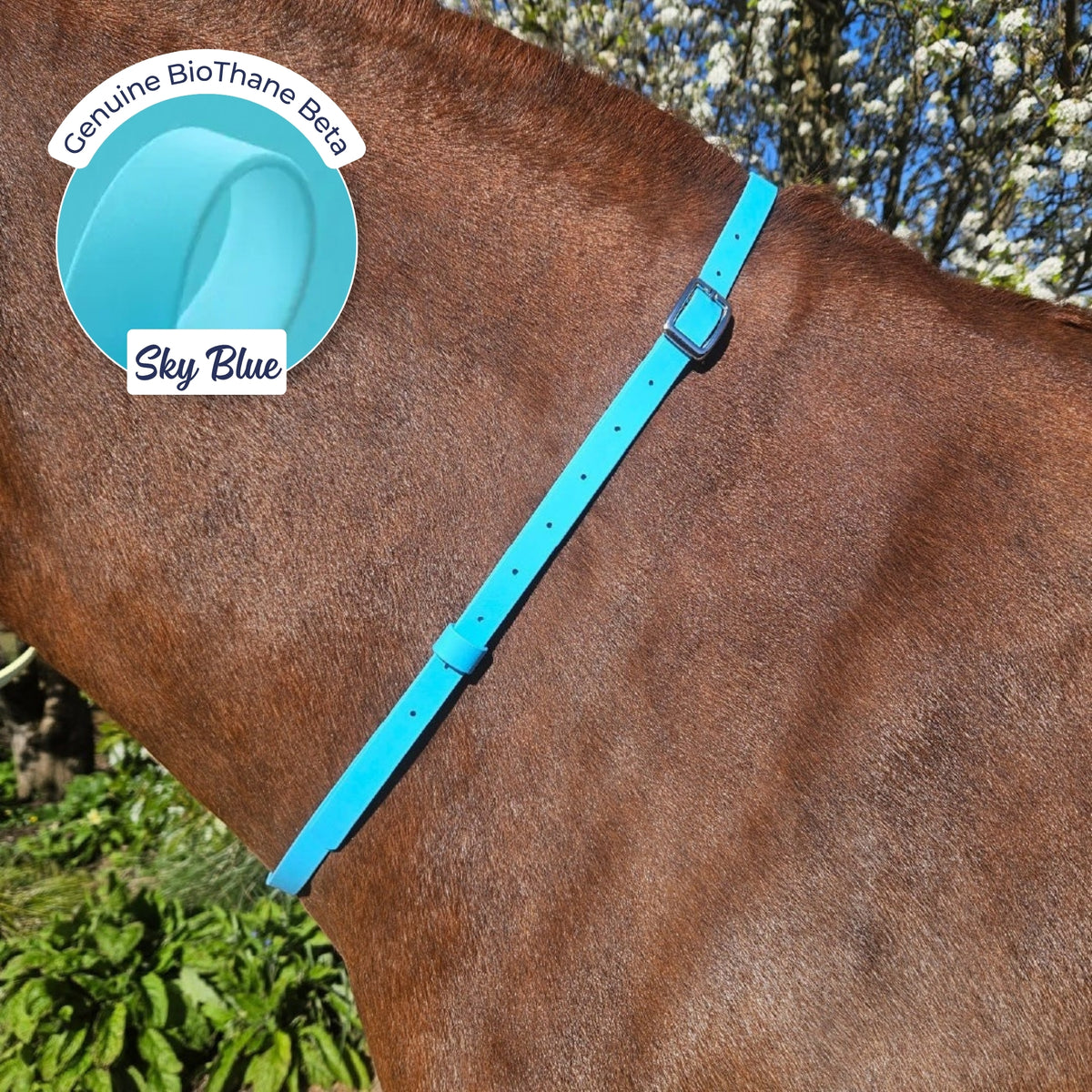 Adjustable BioThane Neck Strap in Sky Blue on a chestnut horse