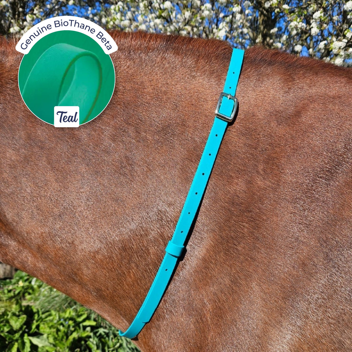 Adjustable BioThane Neck Strap in Teal on a chestnut horse