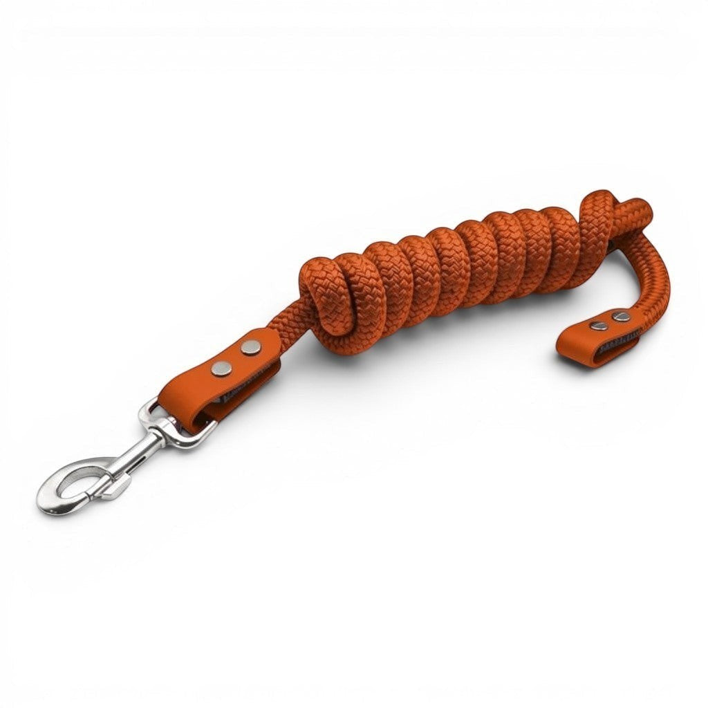 Ponies and Pups orange double braided PPM lead rope with matching BioThane detailing and a silver metal clip.