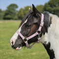 Ponies and Pups light pink adjustable BioThane horse headcollar on a piebald pony in a field