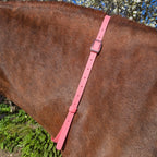 Ponies and Pups pink BioThane adjustable waterproof horse neck strap with silver buckle.