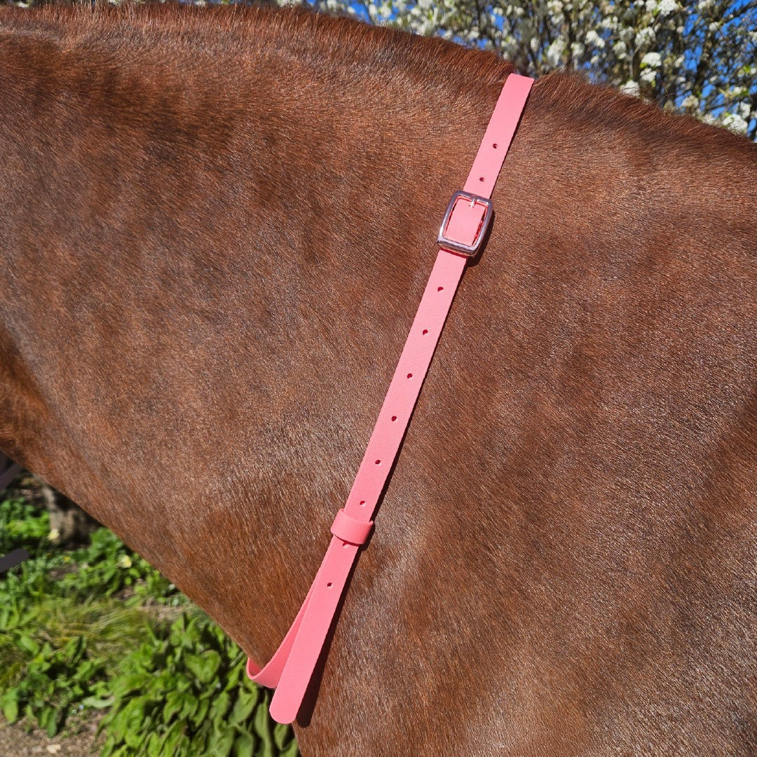 Ponies and Pups pink BioThane adjustable waterproof horse neck strap with silver buckle.