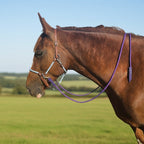 Ponies and Pups purple rope and BioThane split reins on a brown horse wearing a leather bridle in a field.