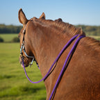 Ponies and Pups purple rope split reins on a chestnut horse in a field, featuring durable BioThane ends.