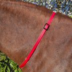 Ponies and Pups red BioThane adjustable waterproof horse neck strap with black buckle