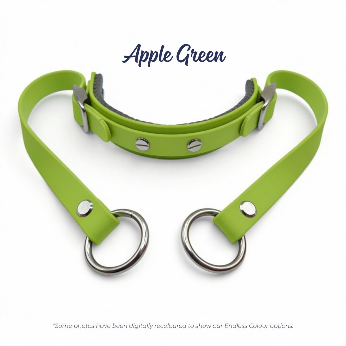 Rein Ready bitless headcollar adapter in Apple Green BioThane, digitally recoloured to show the colour option.