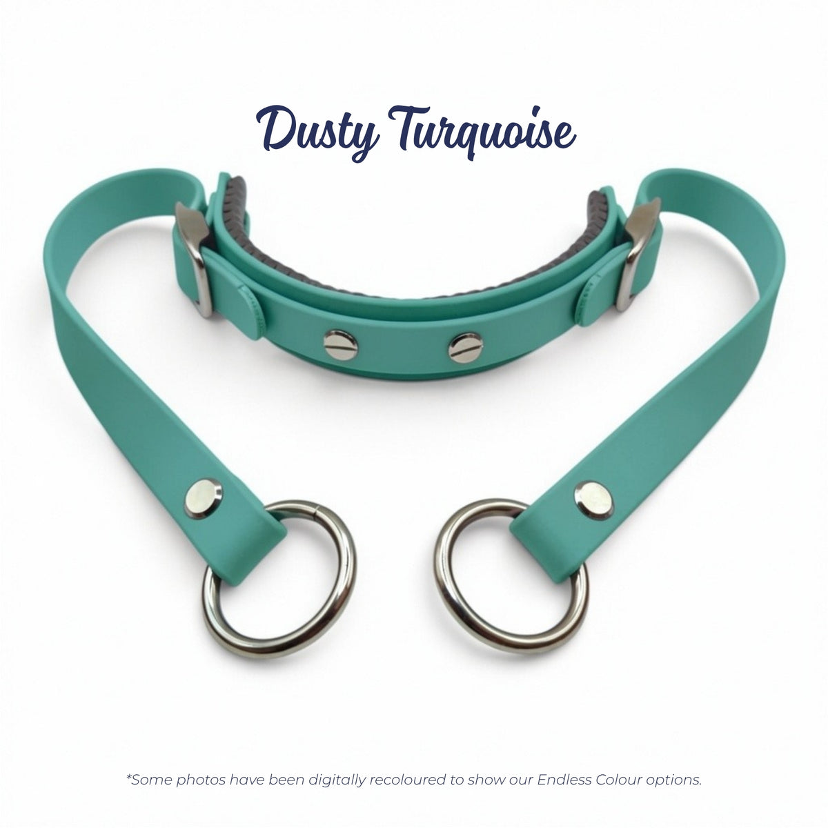 Rein Ready bitless headcollar adapter in Dusty Turquoise BioThane, digitally recoloured to show the colour option.