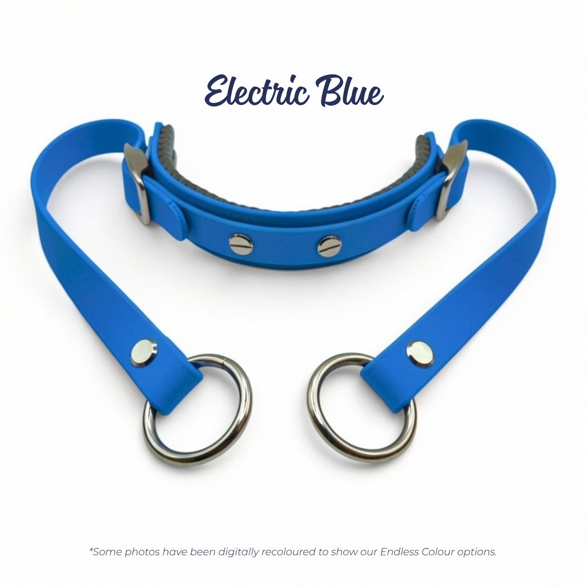Rein Ready bitless headcollar adapter in Electric Blue BioThane, digitally recoloured to show the colour option.