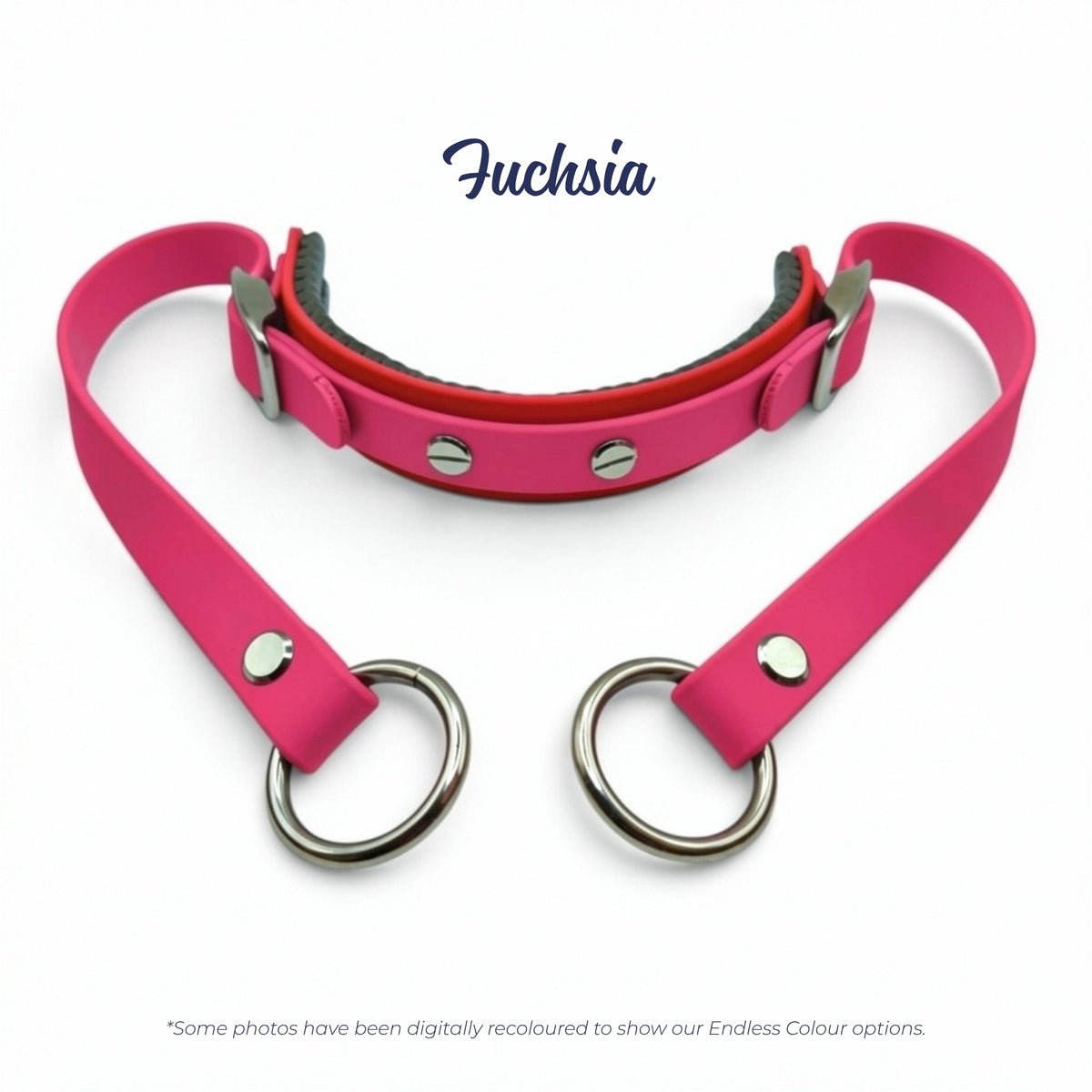 Rein Ready bitless headcollar adapter in Fuchsia BioThane, digitally recoloured to show the colour option.