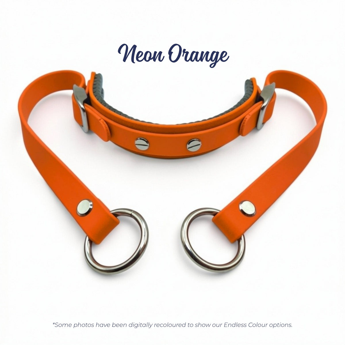 Rein Ready bitless headcollar adapter in Neon Orange BioThane, digitally recoloured to show the colour option.