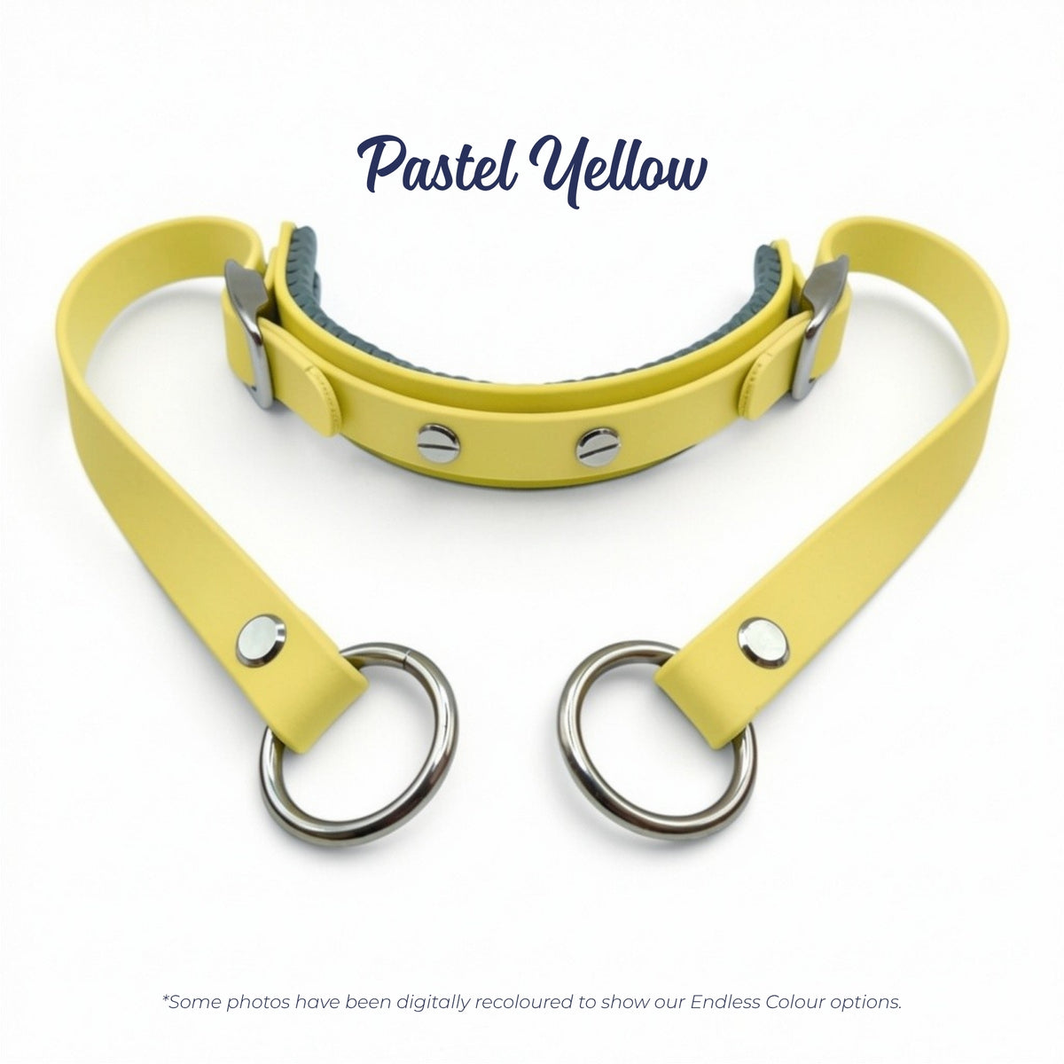 Rein Ready bitless headcollar adapter in Pastel Yellow BioThane, digitally recoloured to show the colour option.