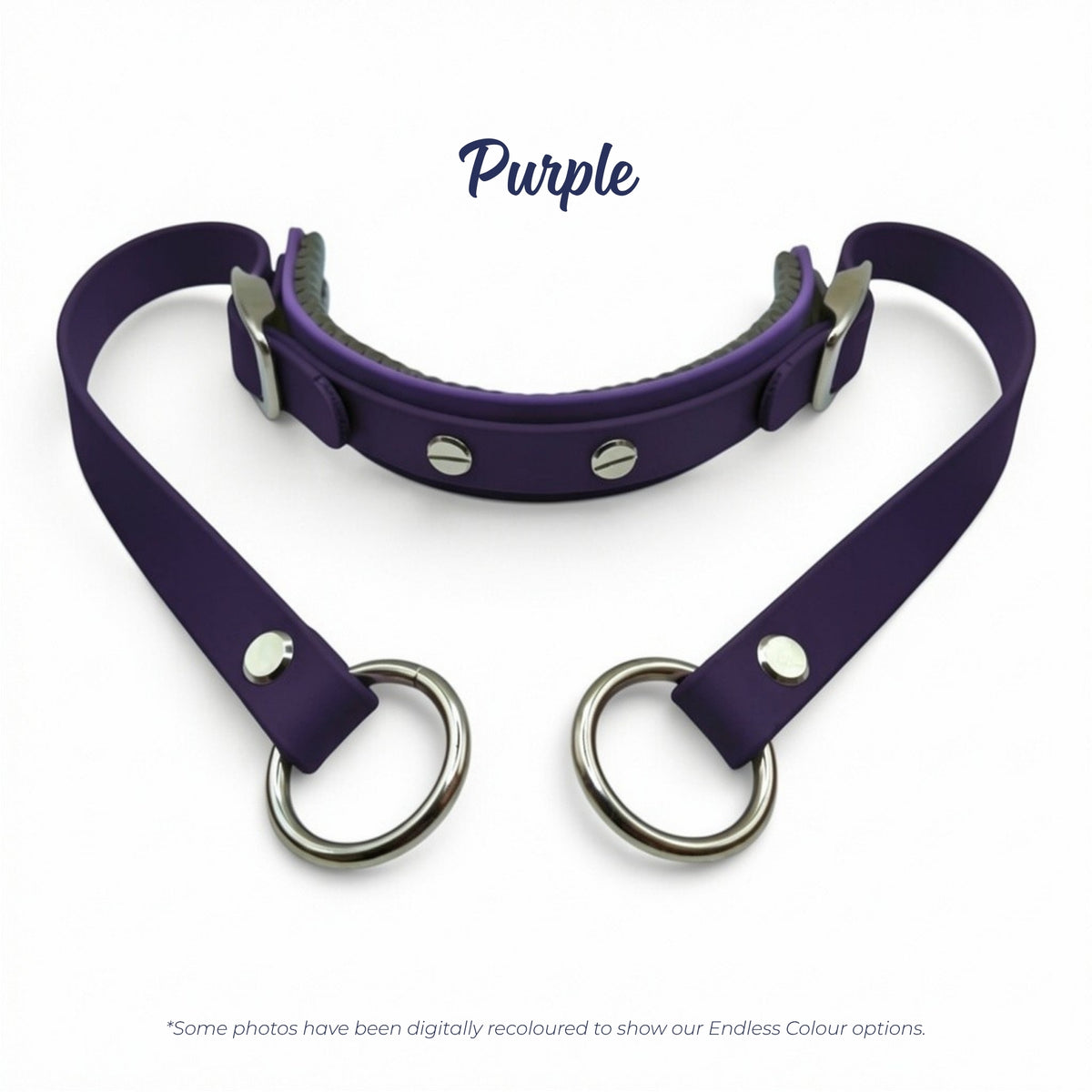 Rein Ready bitless headcollar adapter in Purple BioThane, digitally recoloured to show the colour option.