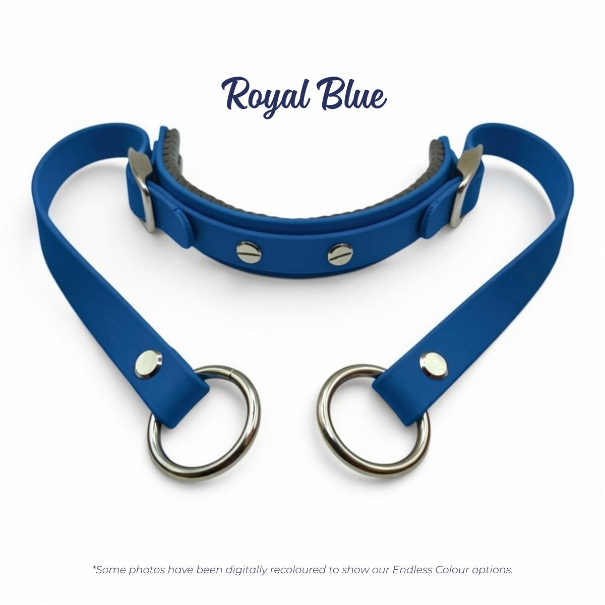 Rein Ready bitless headcollar adapter in Royal Blue BioThane, digitally recoloured to show the colour option.