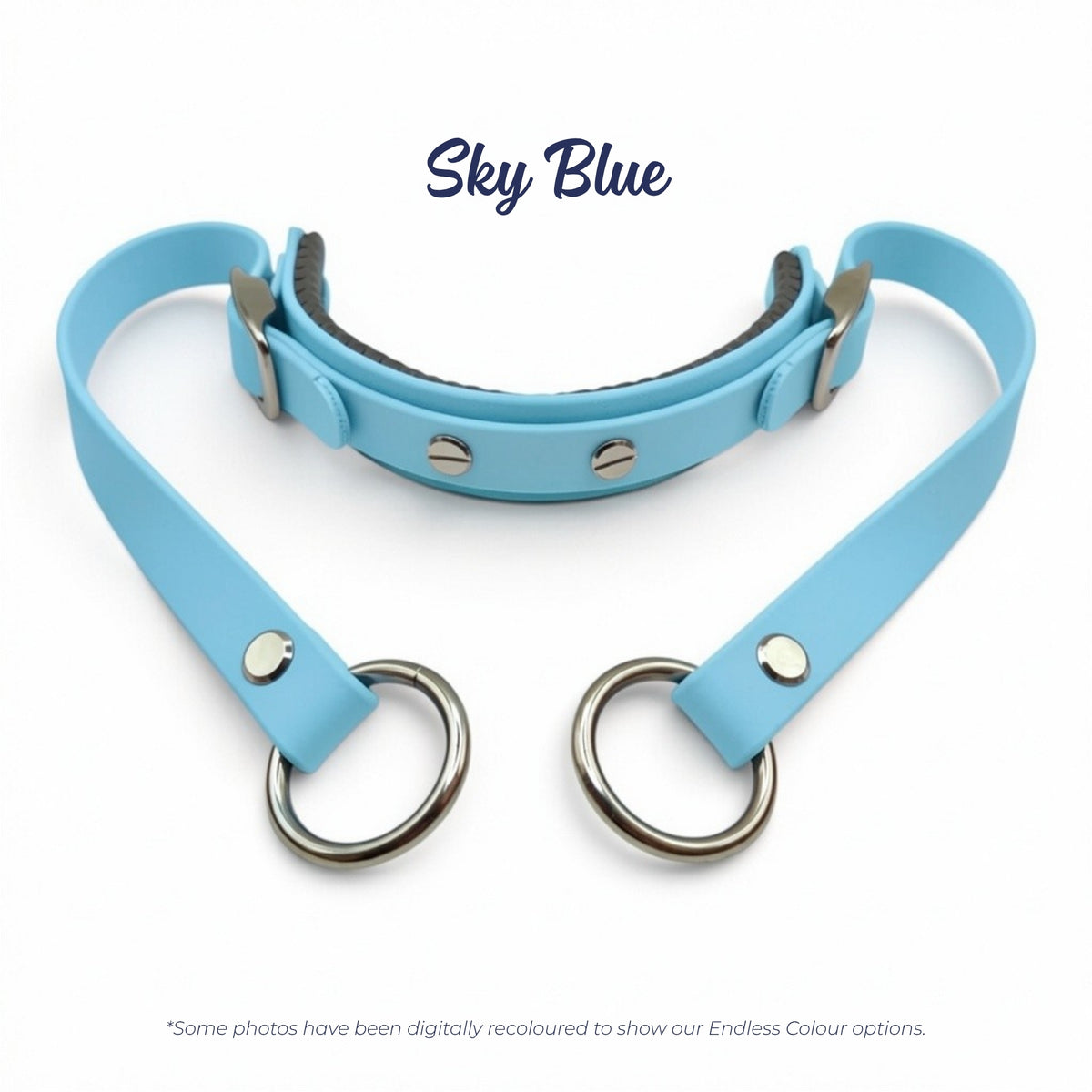 Rein Ready bitless headcollar adapter in Sky Blue BioThane, digitally recoloured to show the colour option.