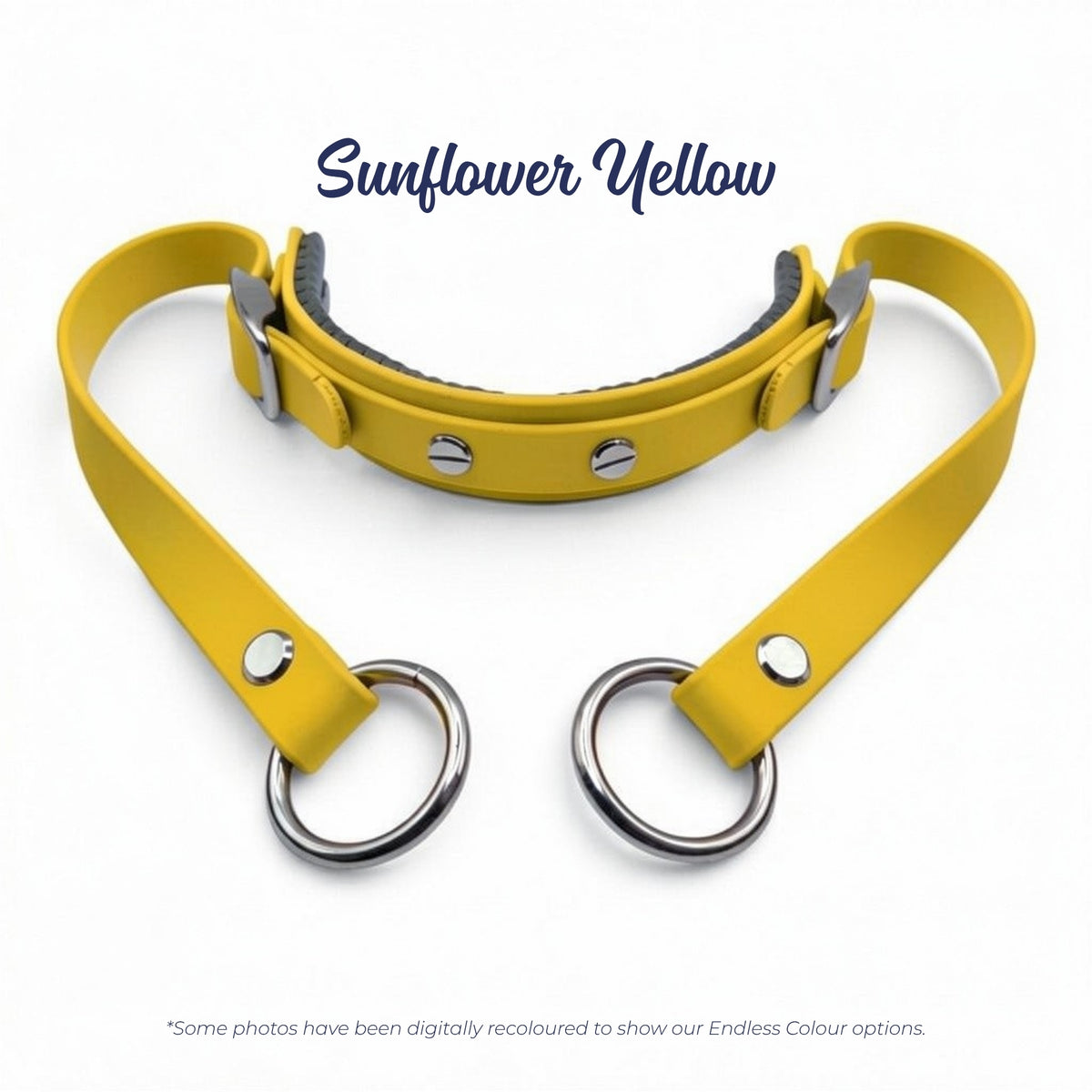Rein Ready bitless headcollar adapter in Sunflower Yellow BioThane, digitally recoloured to show the colour option.
